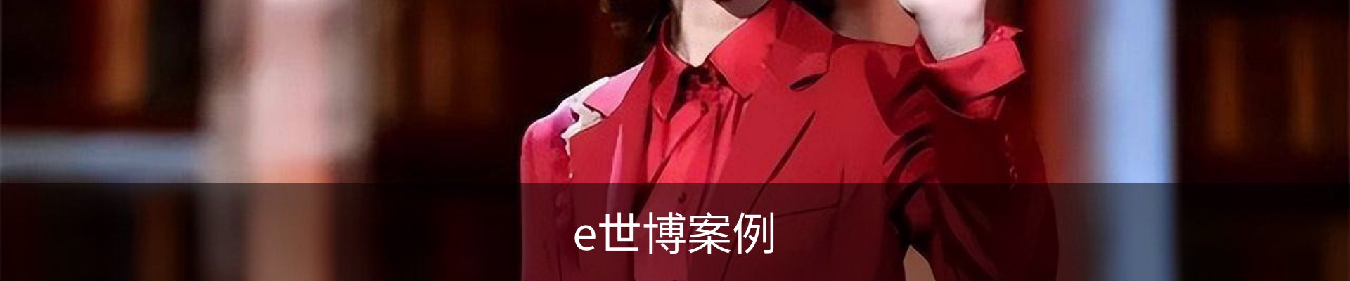 e世博案例